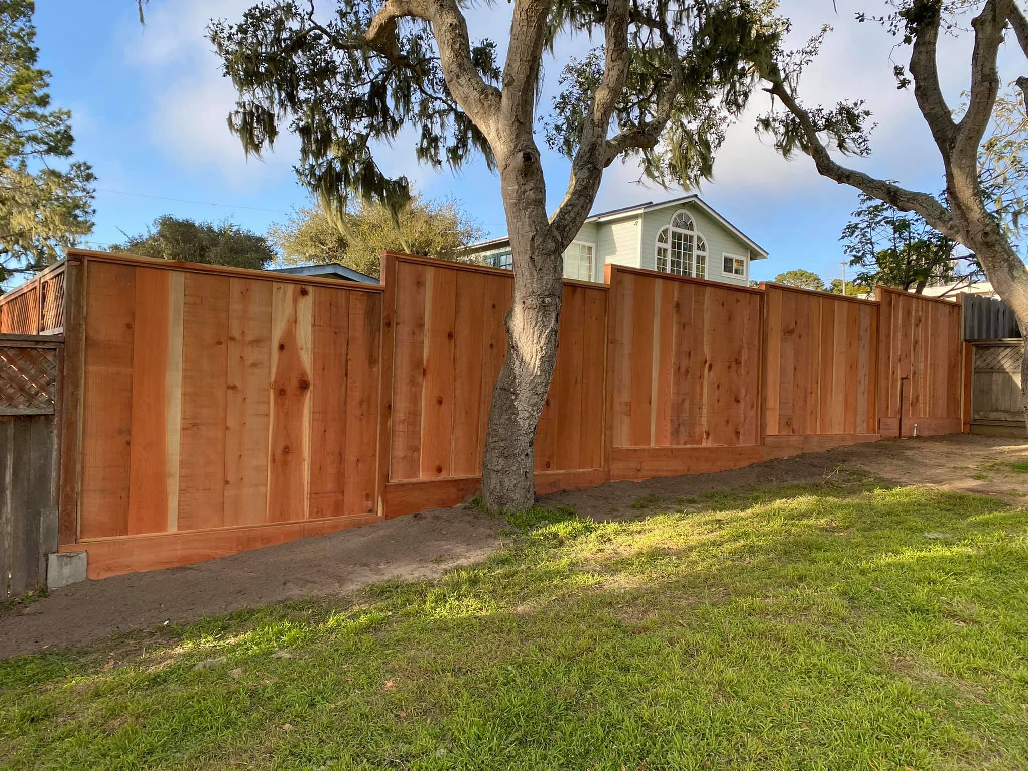 Tall cedar picture-frame fence around an oak tree